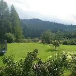 Tanie Krysia Falsztyn
