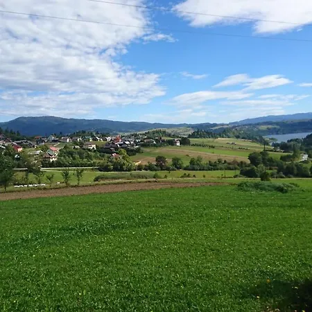 Tanie Krysia *