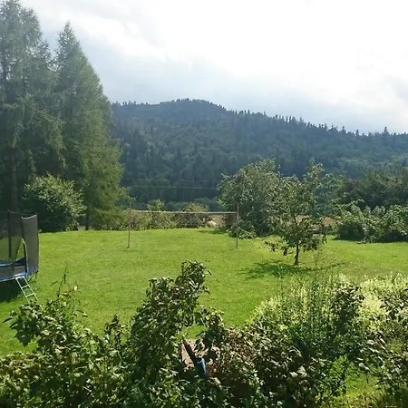 Tanie Krysia Falsztyn